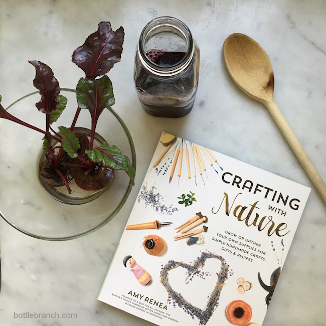 crafting with nature book bottle branch blog